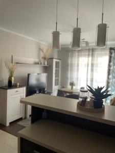 Apartament TUWIM