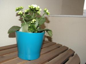 Apartamento en Jerez de la Frontera 2