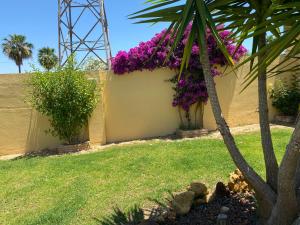Suite Huelva garden