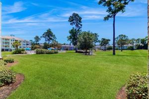 Oasis on the Greens