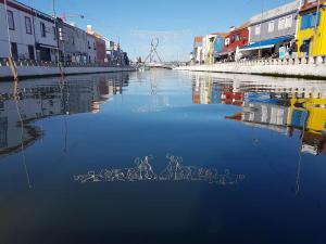 Romantic Flamingos - Beautiful View Over the Canal