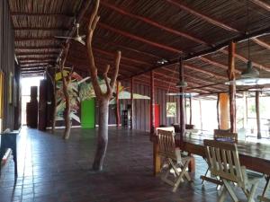 Casa Monkey House