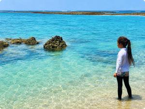 Wight Turtle Villa -Ishigaki Blue Retreat