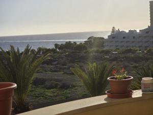 Blue Horizon, sea view apartment los cristianos