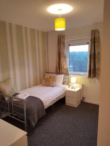 Bathgate Contractor and Business Apartment