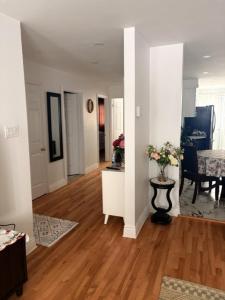 Cozy apartment
