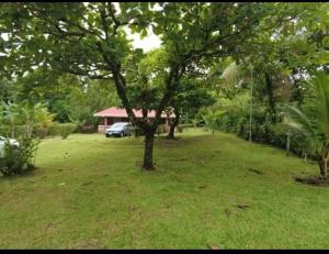 Quinta los almendros