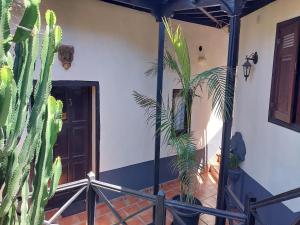 Canary Adults Only Cottage with Pool