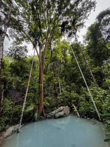 Jungle Villa Alawwa - Coconut Estate Stay