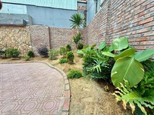 Kimi garden
