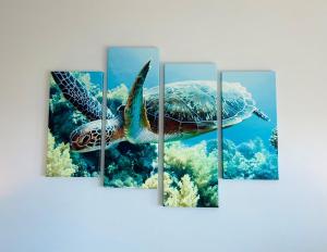 Turtley Paradise West home