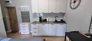 Slate Apartament Polanica - Zdrój