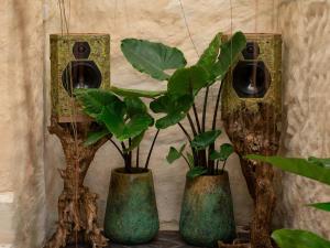 HAVAN Villas - Yogyakarta