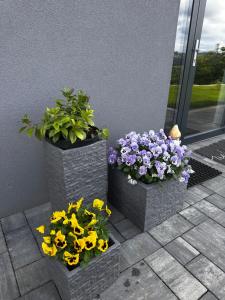 Apartamenty Emerald Hills