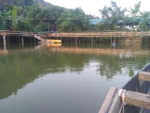 Tràng An Gold