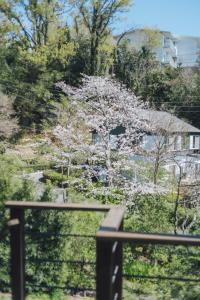 海 竹 楽器 温泉別荘A House 最大8名 城ヶ崎海岸 伊豆高原 大室山 2階から海を望める宿