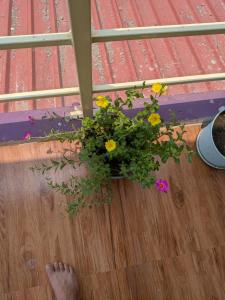 Shrees Seaside Homestay - Sea Pearl