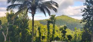SM GARDENS Nature Stay Kodaikanal