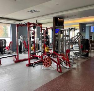 The Manor 2 - Stylish Studio with Pool, Cafés & Prime Location Near D1