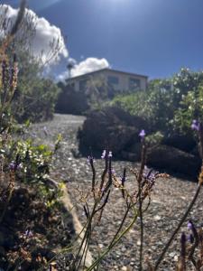 Parasol - Finca Tabaiba by TOR