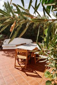 Parasol - Finca Tabaiba by TOR