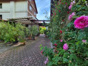 Apartments Schramm