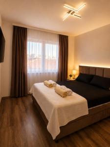 Apartman Centar Paracin