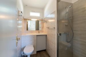 Cottage with pool in Provence N2