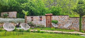 Villa Forest Paradise