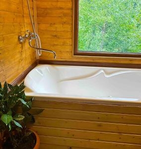COTTAGE & SAUNA Hill SilENCE MESTIA 1