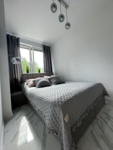 Wysoki Kamień by Royal Aparts - Apartamenty Żeromskiego w malowniczej okolicy