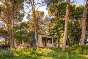 Tiny-House Grand Confort - Salle de bain italienne - Lit King - 10 min A7
