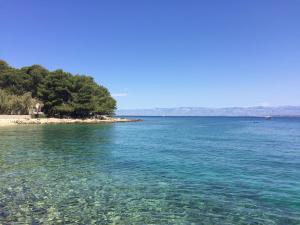 Apartman Uvala