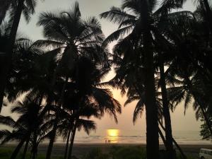 Tapsya Homestays