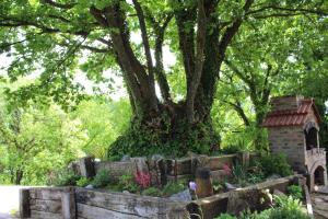 Dionysus Hill House