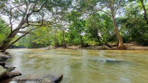 Naiad Eco okkampitiya