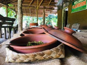 Naiad Eco okkampitiya