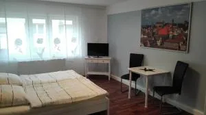 Ferien - und Messewohnung am Wöhrder See - 纽伦堡