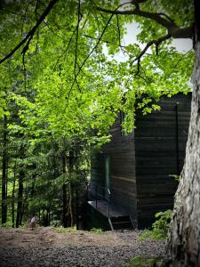 THE STARS CABIN Predeal Ciubar