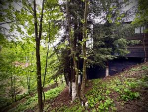 THE STARS CABIN Predeal Ciubar