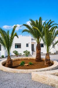 Niki Luxury Suites Pool Resort 200m From Beach