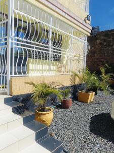 Olosotua Homes Studio