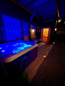 Cozy wellness family house with private garden & jacuzzi & sauna between Amsterdam Haarlem and Schiphol Airport