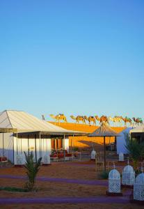 Nour Merzouga Camp