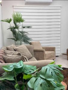 Casa Única Linda Espaçosa e Arejada
