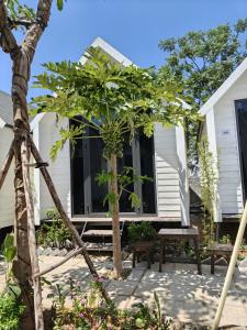 GiGis Homestay & Coffee