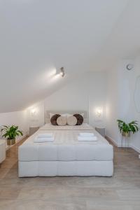 Igielna Prestige M8