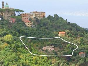 Villa Olivari apartments and garden