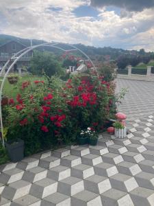 Nevade home