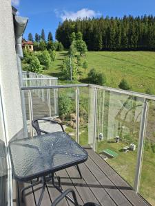 Aparthotel Apartamenty Czarna Góra 318